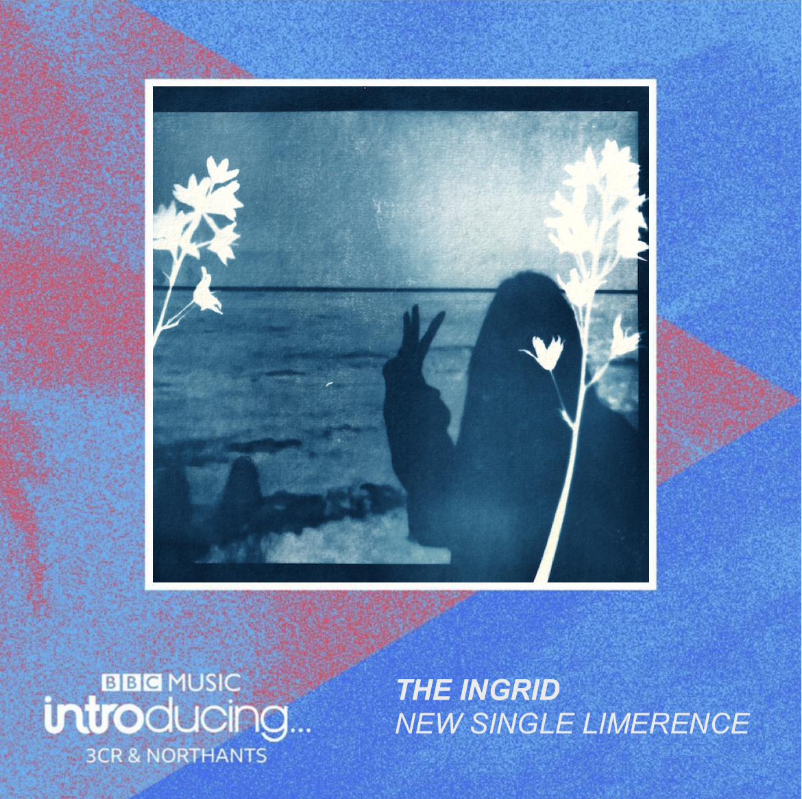 BBC Music Introducing — Limerence